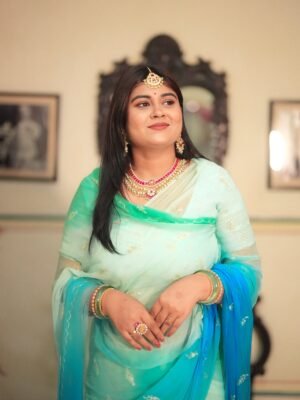 Blue Sea Green Shaded Diamond Chiffon Aari Sequins Handwork Saree